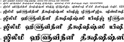 Tam shakti 39 font download